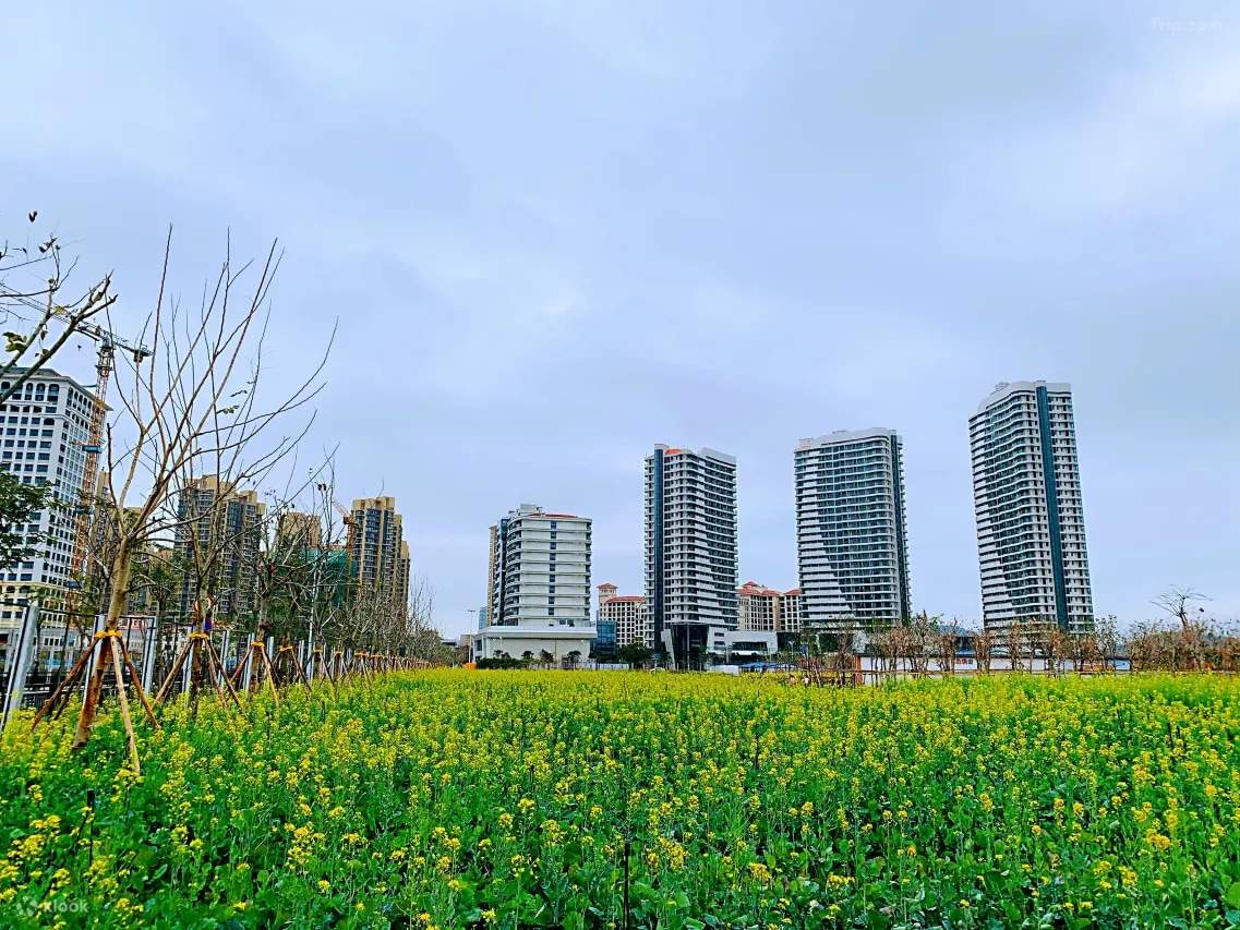 ใกล้โรงแรม